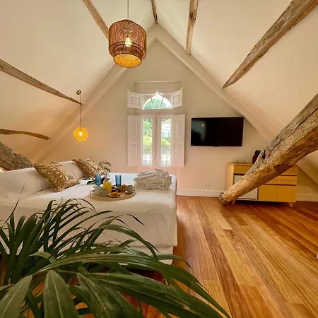 Boutique 1880, Escapada Romantica Con Privado Exterior, Privacidad Y Servicio Personalizado